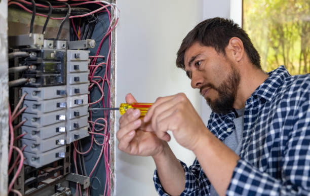 Professional Electrical Services in Level Plains, AL